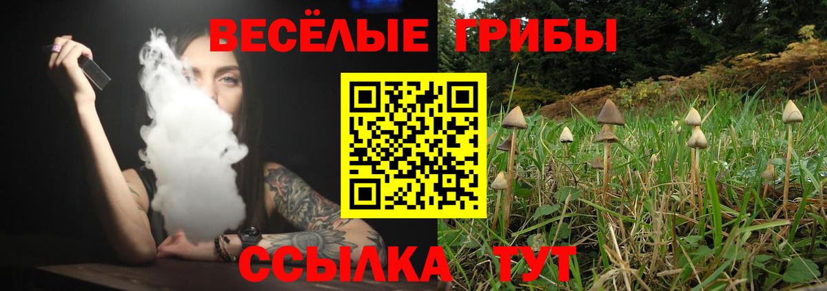 Псилоцибиновые грибы мухоморы Алексеевка